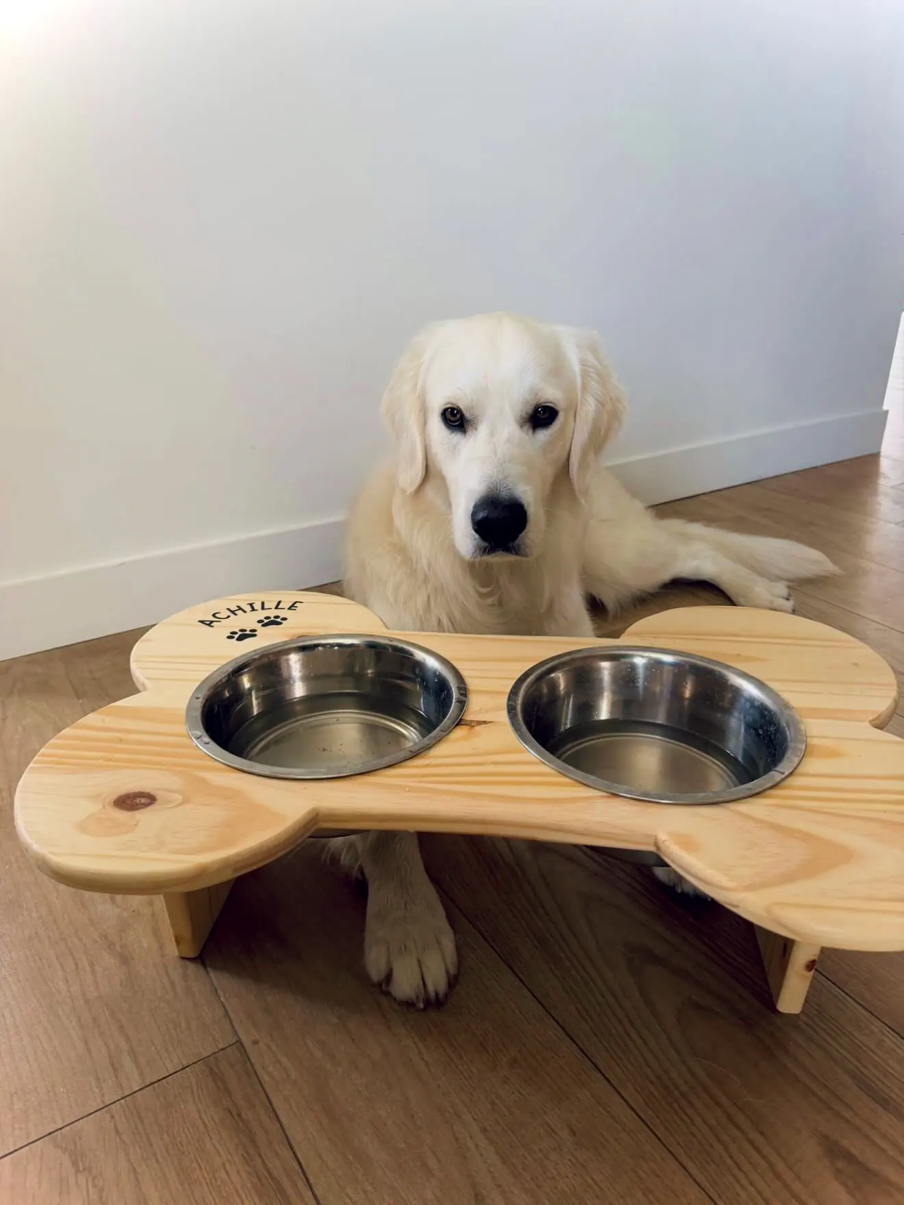 Le « Thor » — Compagnons à 4 pattes