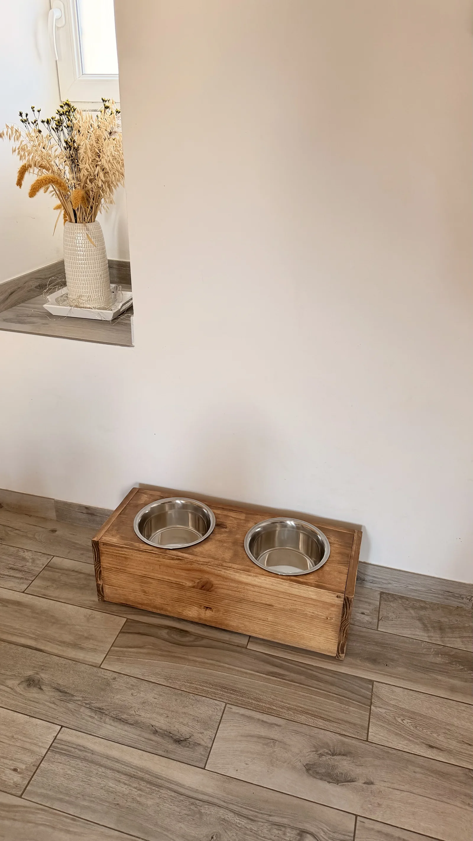 Le « Albus » — Compagnons à 4 pattes