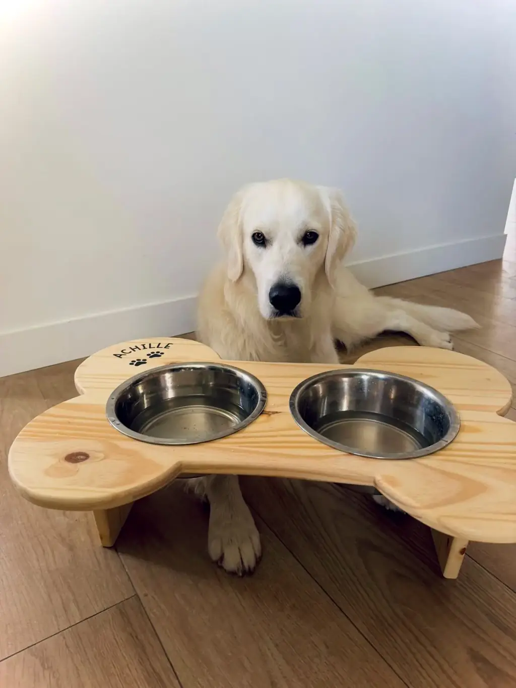 Le « Thor » — Compagnons à 4 pattes