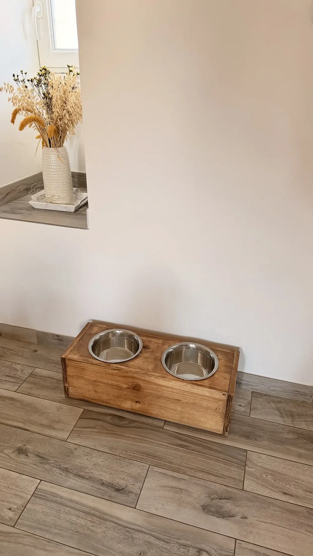 Le « Albus » — Compagnons à 4 pattes