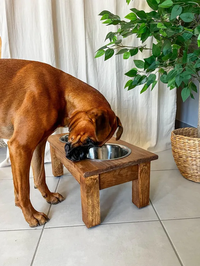 Support gamelles, à hauteur — photo envoyée par un client