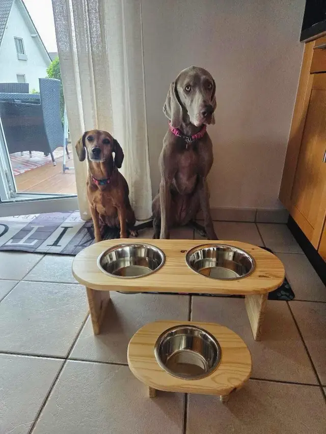 Support trois gamelles — photo envoyée par un client
