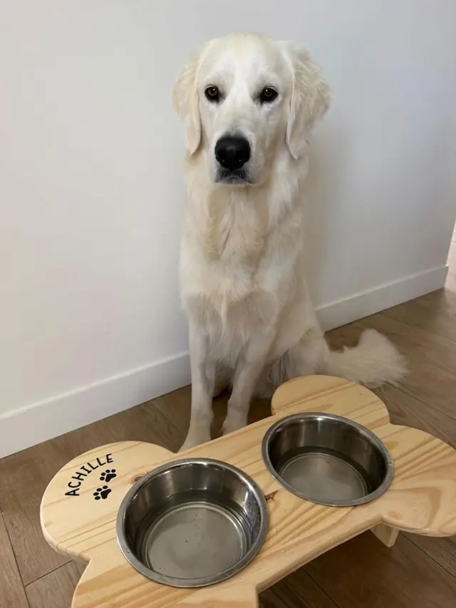 Support gamelles en forme d’os — photo envoyée par un client